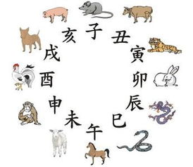 十二生肖相克婚配表:十二生肖相克婚配表,传统智慧与科学视角下的婚恋指南 十二生肖相克婚配表:十二生肖相克婚配表,传统智慧与科学视角下的婚恋指南
