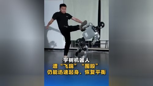 宇树机器人被飞踹后仍能快速起身 宇树机器人被飞踹后仍能快速起身
