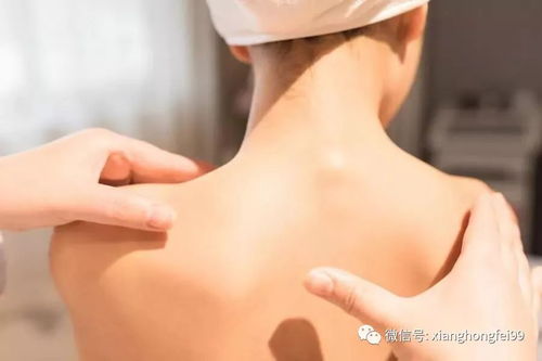 湿热症状有哪些表现:中医角度,湿热症状有哪些表现?不容忽视的身体信号 湿热症状有哪些表现:中医角度,湿热症状有哪些表现?不容忽视的身体信号