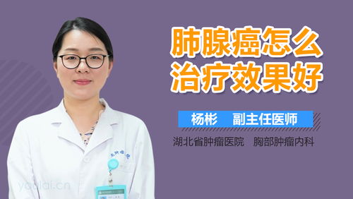 盐酸厄洛替尼片:盐酸厄洛替尼片,靶向治疗的革新者 盐酸厄洛替尼片:盐酸厄洛替尼片,靶向治疗的革新者