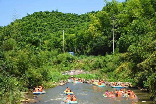 2024彻底翻身的星座:2024年12星座逆袭指南,这7个星座将迎来爆发式翻身黄金期 2024彻底翻身的星座:2024年12星座逆袭指南,这7个星座将迎来爆发式翻身黄金期