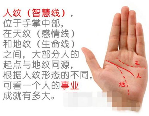 看手相姻缘怎么看财运:手相中的姻缘与财运,揭秘你的命运密码 看手相姻缘怎么看财运:手相中的姻缘与财运,揭秘你的命运密码