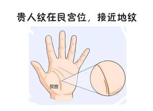 看手相姻缘怎么看财运:手相中的姻缘与财运,揭秘你的命运密码 看手相姻缘怎么看财运:手相中的姻缘与财运,揭秘你的命运密码