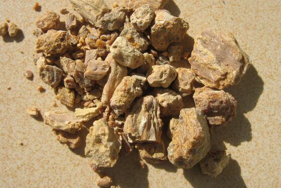 桑螵蛸的功效与作用:桑螵蛸,传统中药的安神固精之宝,功效与作用全解析 桑螵蛸的功效与作用:桑螵蛸,传统中药的安神固精之宝,功效与作用全解析