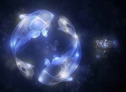2月3日是什么星座:2月3日是什么星座?水瓶座觉醒日,探索你的星象密码与人生机遇 2月3日是什么星座:2月3日是什么星座?水瓶座觉醒日,探索你的星象密码与人生机遇