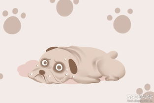 梦见自己被别人的狗咬了是什么意思:梦见自己被别人的狗咬了是什么意思? 梦见自己被别人的狗咬了是什么意思:梦见自己被别人的狗咬了是什么意思?