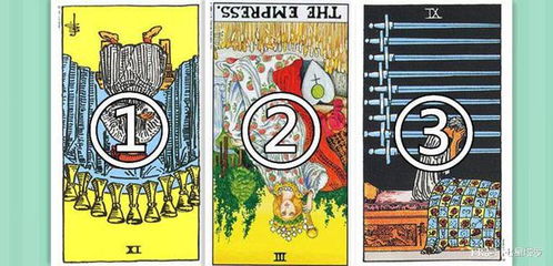 塔姆塔罗牌什么时候出的:塔姆塔罗牌什么时候出的?全新塔罗牌发布时间全解析! 塔姆塔罗牌什么时候出的:塔姆塔罗牌什么时候出的?全新塔罗牌发布时间全解析!