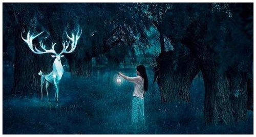 梦见虱子是什么预兆好不好:梦见虱子是什么预兆好不好?解密梦境背后的深层含义 梦见虱子是什么预兆好不好:梦见虱子是什么预兆好不好?解密梦境背后的深层含义