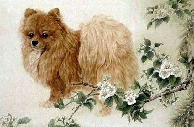 82年女属狗的姻缘怎样:揭秘82年女属狗的姻缘命运,忠诚、固执与幸福的平衡之道 82年女属狗的姻缘怎样:揭秘82年女属狗的姻缘命运,忠诚、固执与幸福的平衡之道