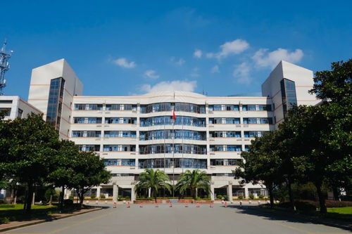 开放大学官网(上海开放大学官网) 开放大学官网(上海开放大学官网)