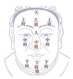 看面相最准的绝招:三庭五眼定乾坤,面相学中预测命运的三大黄金法则 看面相最准的绝招:三庭五眼定乾坤,面相学中预测命运的三大黄金法则