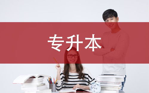 广东专升本可以报考哪些大学（广东专升本上岸率高吗）