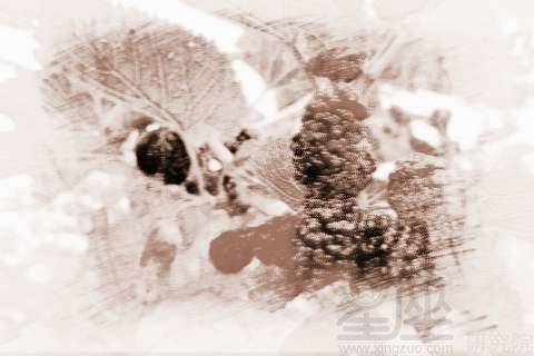 梦见发大水什么意思周公解梦:梦见发大水,究竟预示着什么?从周公解梦到现代心理学的深度解析 梦见发大水什么意思周公解梦:梦见发大水,究竟预示着什么?从周公解梦到现代心理学的深度解析