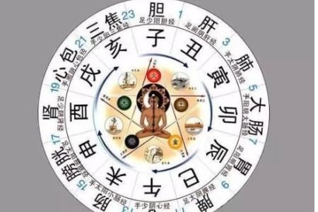 十二时辰与二十四小时对照表：十二时辰与二十四小时对照表，探秘传统与现代的时间密码