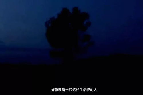 梦见死人复活追我:梦中死人复活追我,一场潜意识的惊魂之旅 梦见死人复活追我:梦中死人复活追我,一场潜意识的惊魂之旅