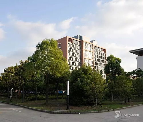 上海工艺美术职业学院（上海工艺美术职业学院学费多少钱）