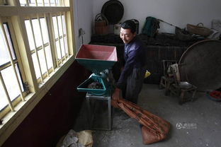 “癌症早筛第一股”强制退市!被曝向环卫工人购买公厕粪便,虚增检测量,市值曾达400亿港元 “癌症早筛第一股”强制退市!被曝向环卫工人购买公厕粪便,虚增检测量,市值曾达400亿港元