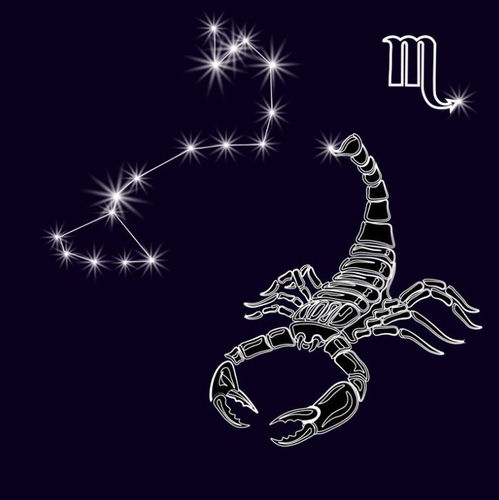 天蝎座今日运势女：天蝎座今日运势精准预测，事业爱情双丰收，但需警惕这三个雷区