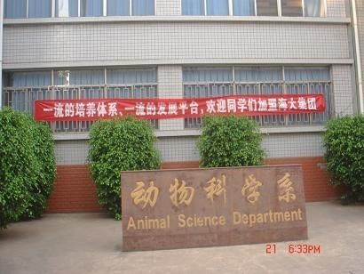 西昌学院(西昌学院教务系统) 西昌学院(西昌学院教务系统)
