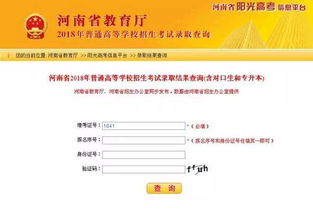 高考录取查询入口正式开放(高考录取查询入口正式开放河南) 高考录取查询入口正式开放(高考录取查询入口正式开放河南)