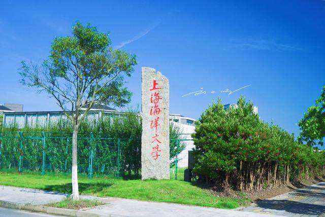 上海16个二本大学（上海的二本高校）