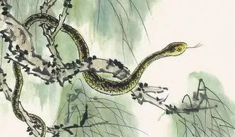 晚上做梦梦到很多蛇是什么意思:梦里蛇成群,你的潜意识在警告你?解密多蛇梦境的隐藏含义 晚上做梦梦到很多蛇是什么意思:梦里蛇成群,你的潜意识在警告你?解密多蛇梦境的隐藏含义