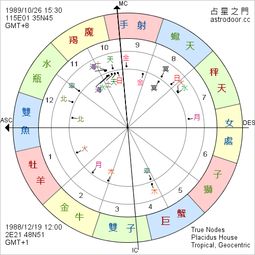 星座合盘查询分析免费：免费星座合盘查询分析指南，科学解读爱情、事业与人际关系的黄金密码