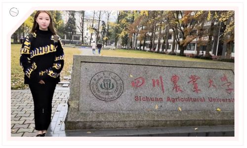 成都大学2025研究生招生简章（2022年成都大学研究生招生简章）