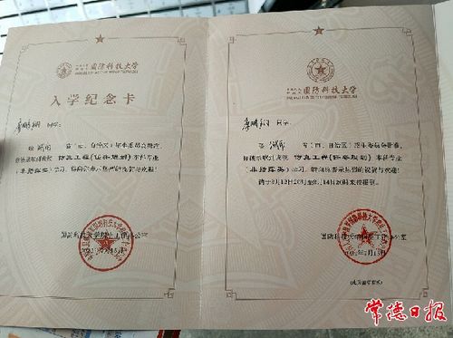 高考录取录取（高考录取录取通知书查询）