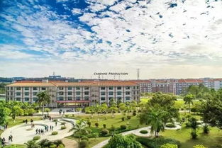 广东财经大学官网(广东财经大学官网入口) 广东财经大学官网(广东财经大学官网入口)