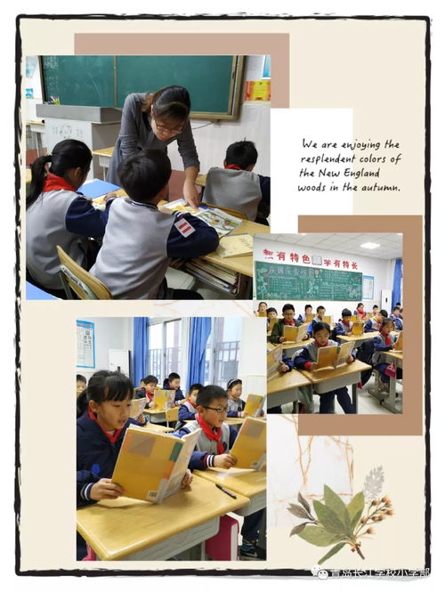 尖锋教育培训机构怎么样(尖锋教育多少钱一节课) 尖锋教育培训机构怎么样(尖锋教育多少钱一节课)