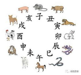 12生肖的排列:十二生肖的排列顺序与文化内涵,从周易到现代的时空密码 12生肖的排列:十二生肖的排列顺序与文化内涵,从周易到现代的时空密码