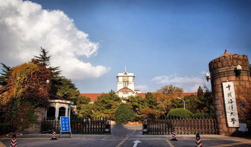 青岛职业技术学院（青岛职业技术学院领导班子）