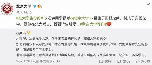 北京大学考研分数线（北京考研最容易的大学）