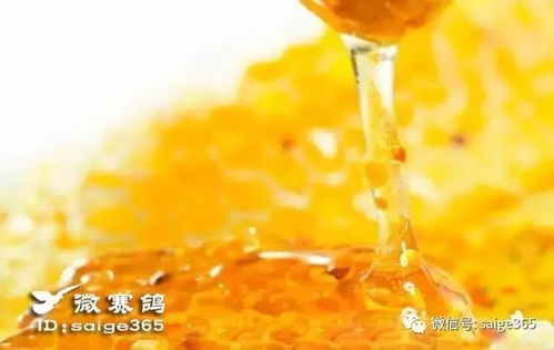 蜂蜜的好处和功效:蜂蜜的惊人功效,自然馈赠的健康宝藏 蜂蜜的好处和功效:蜂蜜的惊人功效,自然馈赠的健康宝藏