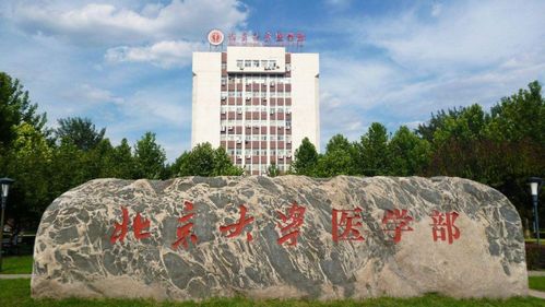 北京大学医学部(北京大学医学部官网) 北京大学医学部(北京大学医学部官网)