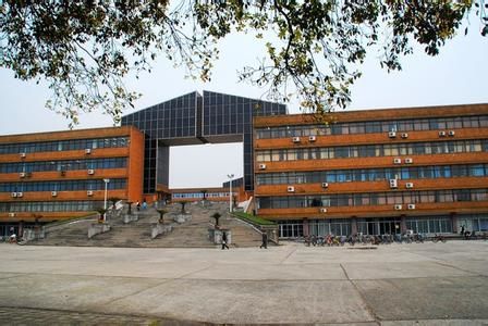 山东大汉的姻缘是谁:山东大汉的姻缘之谜,谁在书写他们的爱情故事?