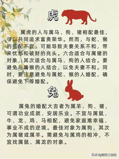 夫妻生肖配对最佳:十二生肖夫妻配对指南,传统智慧与科学视角下的和谐婚姻密码