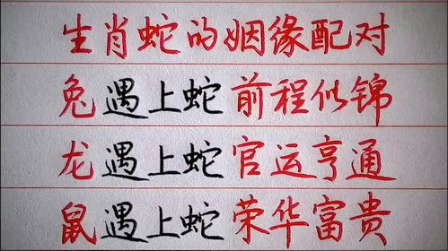 属相测姻缘可信吗怎么测:属相测姻缘,可信吗?怎么测?传统文化与现代观念的碰撞 属相测姻缘可信吗怎么测:属相测姻缘,可信吗?怎么测?传统文化与现代观念的碰撞