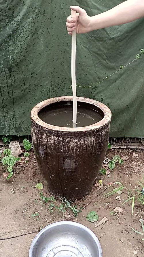 梦见水缸装满水很清:梦见水缸装满水很清 梦见水缸装满水很清:梦见水缸装满水很清