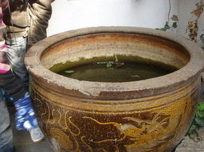 梦见水缸装满水很清:梦见水缸装满水很清