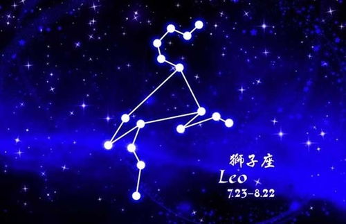 六月份是什么星座:六月份的星座指南,巨蟹座与狮子座的独特魅力