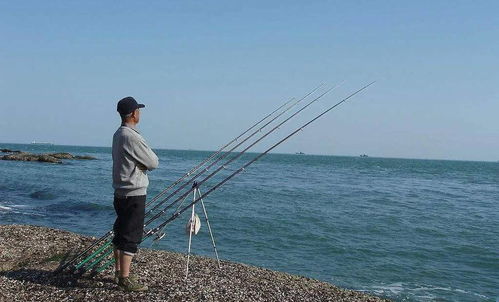 梦见钓鱼是什么意思一钓一个准:梦见钓鱼是什么意思一网打尽!