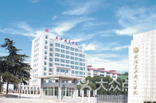 武汉前十名职业学校(武汉职业类学校排名)