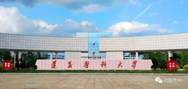 学工系统学生登录入口（遵义医科大学学工系统学生登录入口）