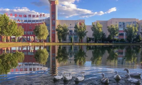 北京信息职业技术学院(北京信息职业技术学院学费) 北京信息职业技术学院(北京信息职业技术学院学费)