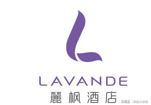 12月22日其实是射手座：12月22日其实是射手座？重新解读你的星座密码