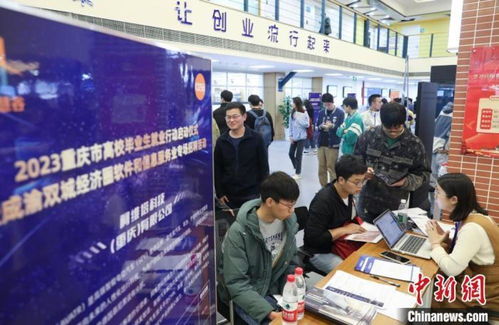 高校毕业生就业网（重庆高校毕业生就业网）