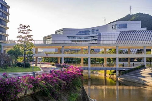 广州应用科技学院肇庆校区（广州应用科技学院肇庆校区社会信用代码）