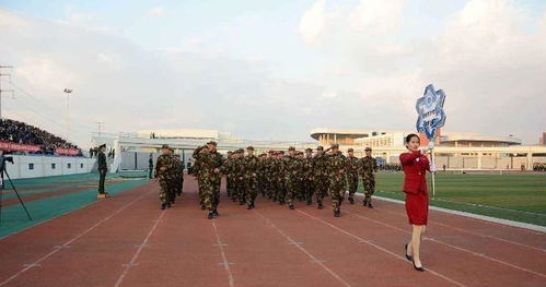 山东值得上的专科学校（山东很好的专科）